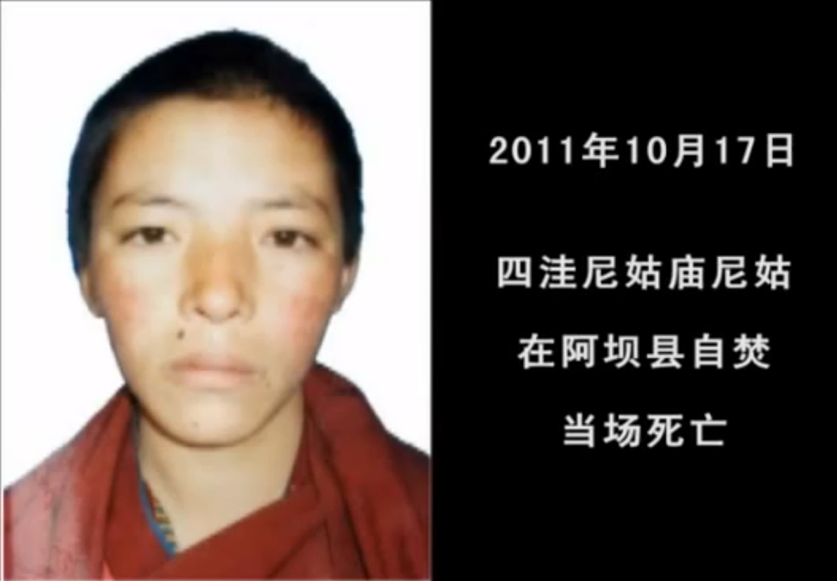 The above photos are screenshots from the CCTV propaganda film: (from top to bottom) Tapey, Lobsang Kunchok, Tenzin Wangmo - 2012-09-19-How-CCTV-3