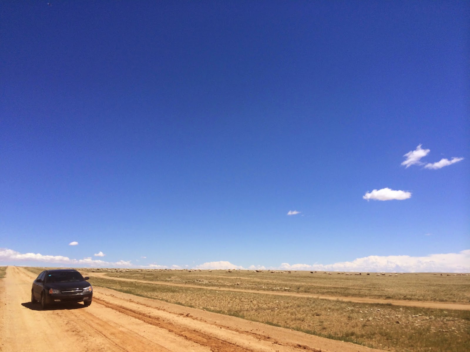 "A Black Car without a License Plate" By Woeser