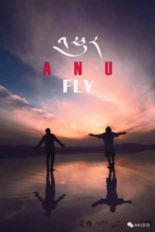 Песня fly anu на каком языке